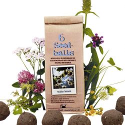 Seedballs als Ostergeschenk