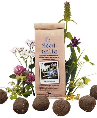 Seedballs als Ostergeschenk