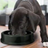 anti-schling hundenapf werbeartikel