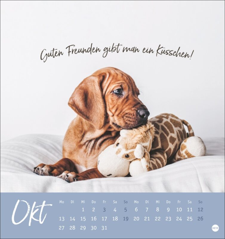 hunde-postkartenkalender