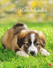 hundekinder-posterkalender