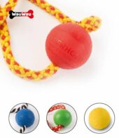 hundespielzeug-gummiball