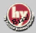 hybizz logo 1999