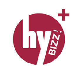 hybizz plus logo