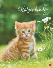 katzen-posterkalender