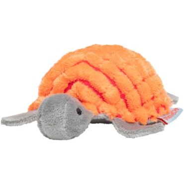 katzenspielzeug-schildkröte